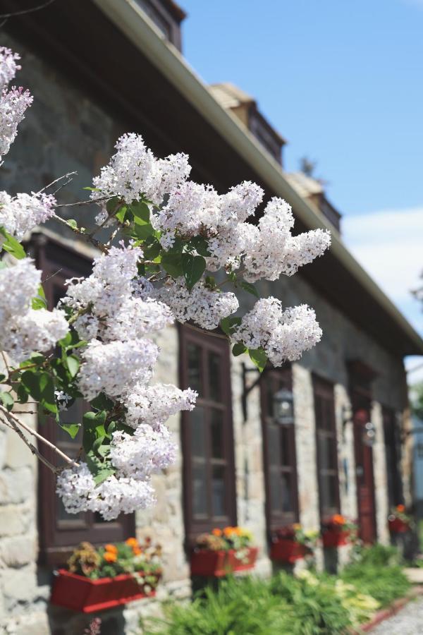Domaine Steinbach Cidrerie B&B Distillerie Saint-Pierre-de-l'Ile-d'Orleans Экстерьер фото